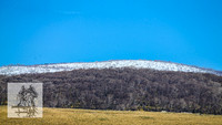 BrumbiesSep2022_0146