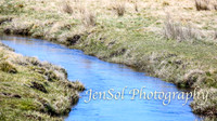 SnowyMountainsBrumbiesOct21_0467