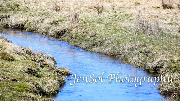 SnowyMountainsBrumbiesOct21_0467