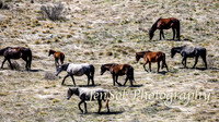 SnowyMountainsBrumbiesOct21_0460