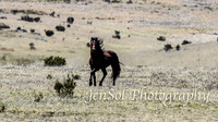 SnowyMountainsBrumbiesOct21_0515