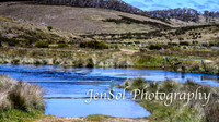Brumbies_Nov21_0096
