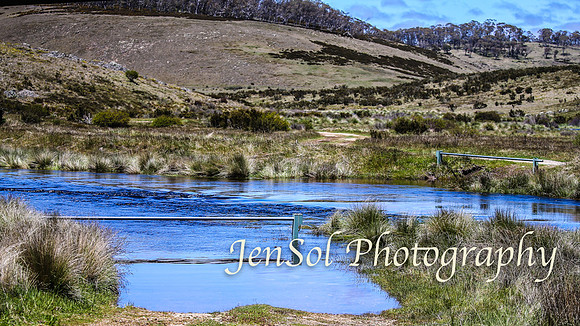Brumbies_Nov21_0096