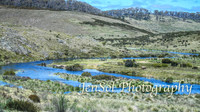 Brumbies_Nov21_0089