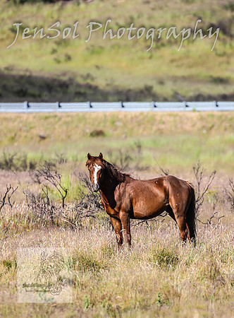 WednesdayBrumbiesAM_0124