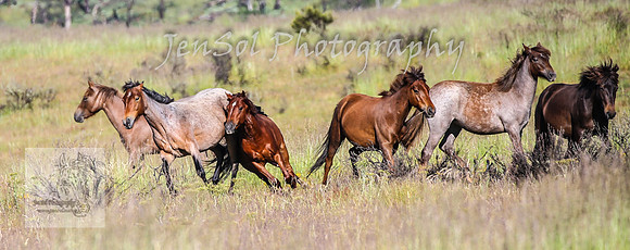 WednesdayBrumbiesAM_0194