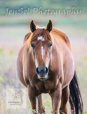 WednesdayBrumbiesPM_0191