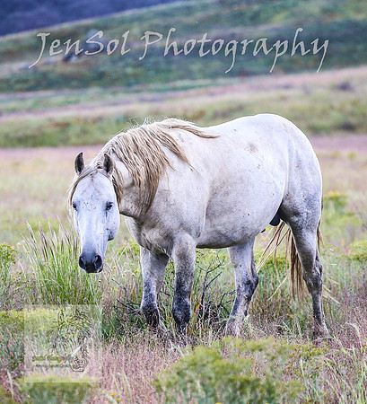 WednesdayBrumbiesPM_0196