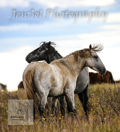 WednesdayBrumbiesPM_0224