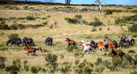 MondayBrumbiesPM_0104