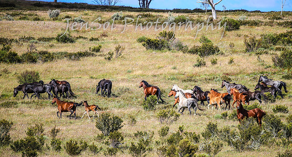 MondayBrumbiesPM_0104