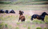 WednesdayBrumbiesPM_0058