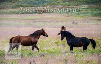 WednesdayBrumbiesPM_0061