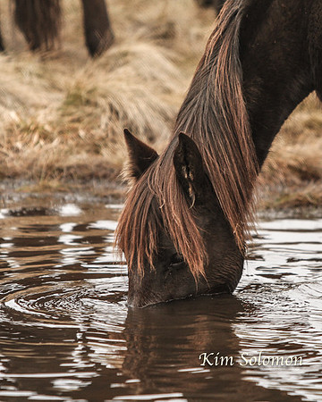 BullocksHillSep19_0419