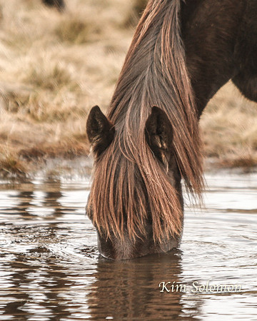 BullocksHillSep19_0369