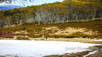 BullocksHillSep19_0001