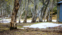 BullocksHillSep19_0005
