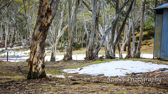 BullocksHillSep19_0005