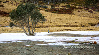 BullocksHillSep19_0004