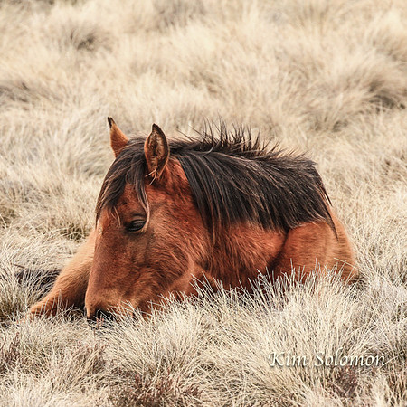 BullocksHillSep19_0540