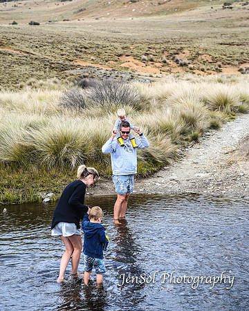 EasterBullocks2019_0227