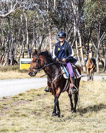 EasterBullocks2019_0238