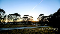 EasterBullocks2019_0101