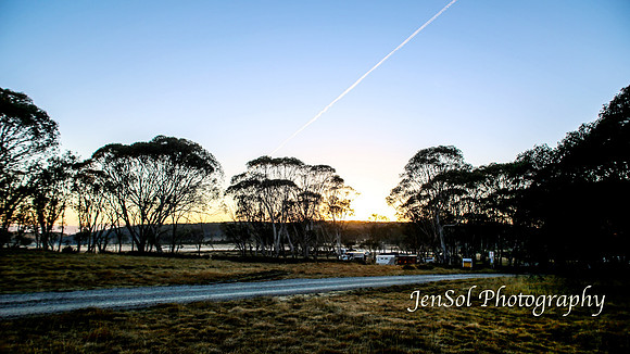 EasterBullocks2019_0101