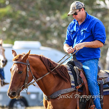 EasterBullocks2019_0042