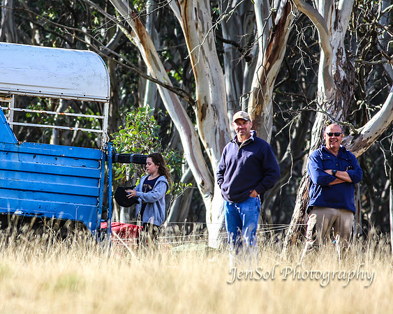 EasterBullocks2019_0035