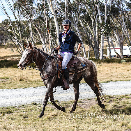 EasterBullocks2019_0255