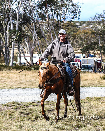 EasterBullocks2019_0275