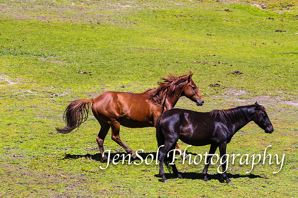 BrumbiesFeb17_1929