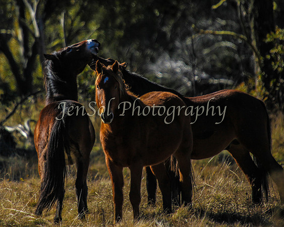KosciMay2012_0028