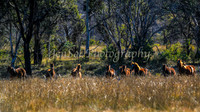 KosciMay2012_0116