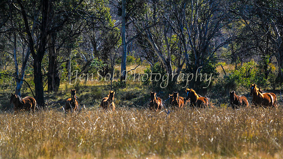 KosciMay2012_0116