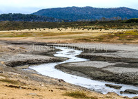 BullocksEaster2015_0047