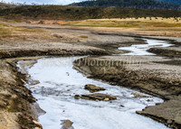 BullocksEaster2015_0049