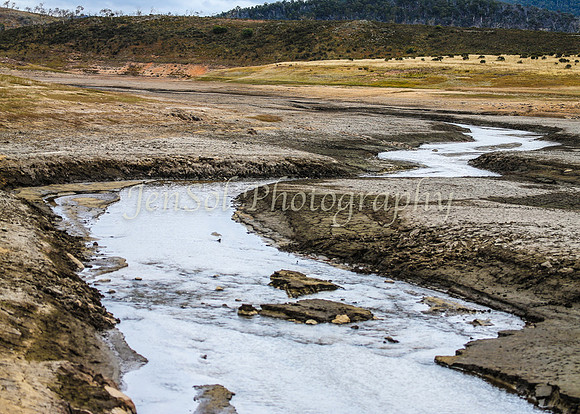 BullocksEaster2015_0049