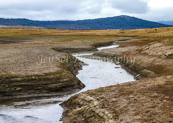 BullocksEaster2015_0048