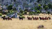 BullocksEaster2015_0038