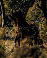 KosciMay2012_0036