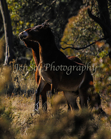 KosciMay2012_0036