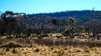 KosciMay2012_0109