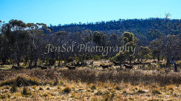 KosciMay2012_0109