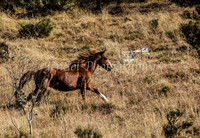 CurrangoJS_Sat043