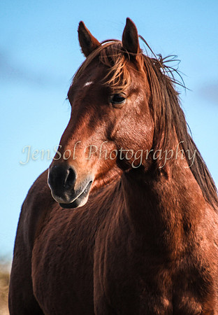 CurrangoJS_Sat081
