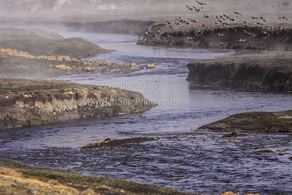CurrangoKJS_Sun063