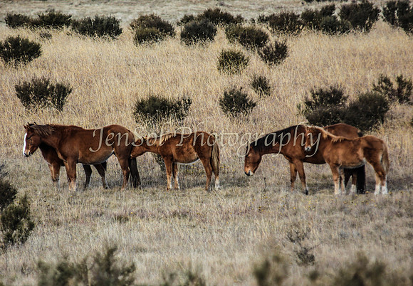CurrangoJS_Sat110
