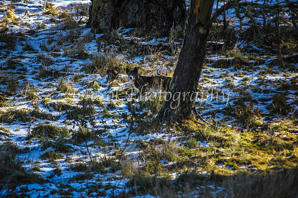IMG_0108